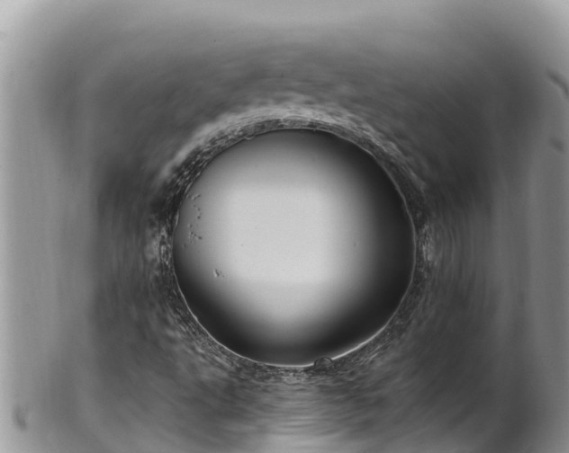 X0000102311495200808011550