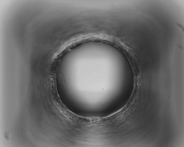 X0000102311496200808011550