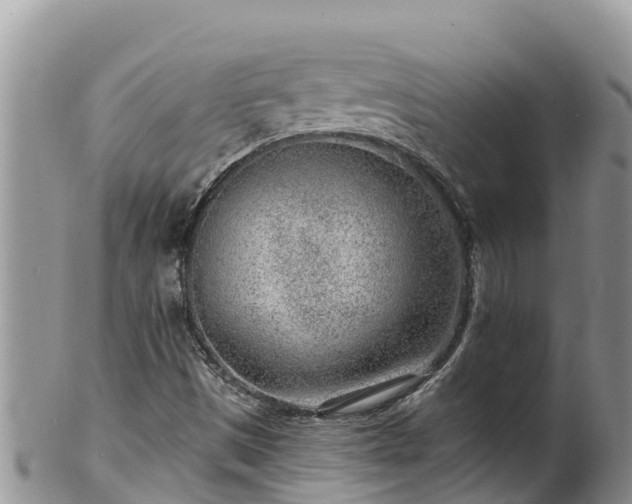 X0000102311497200808011550