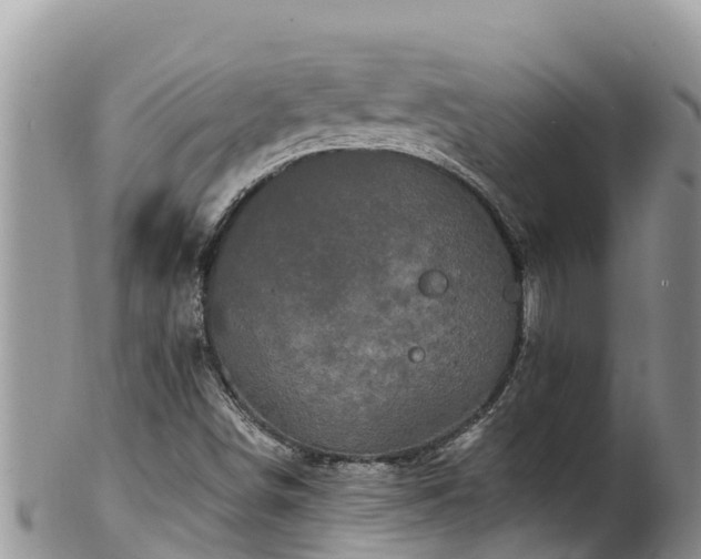 X0000102311498200808011550