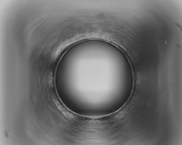 X0000102311499200808011550