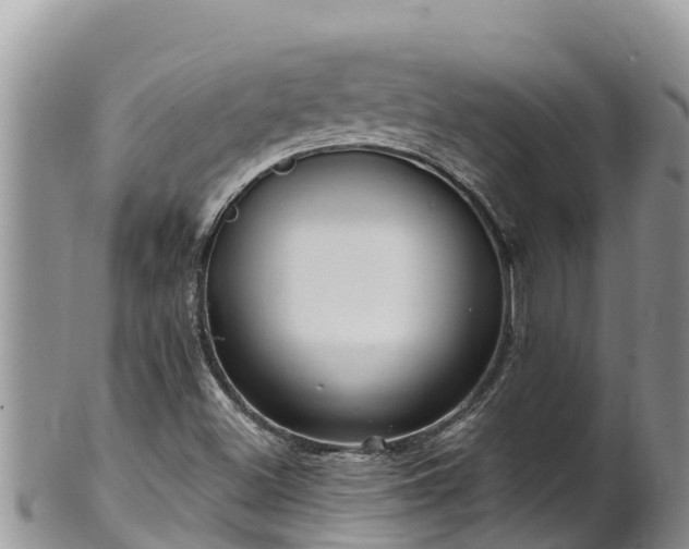 X0000102311500200808011550