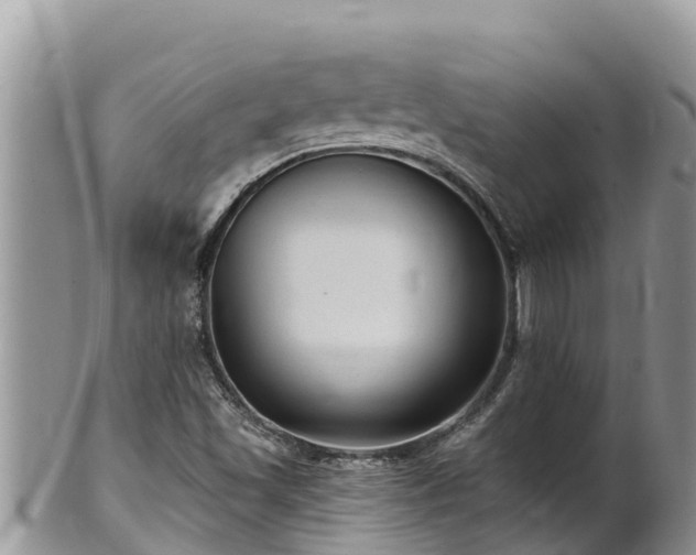 X0000102311501200808011550