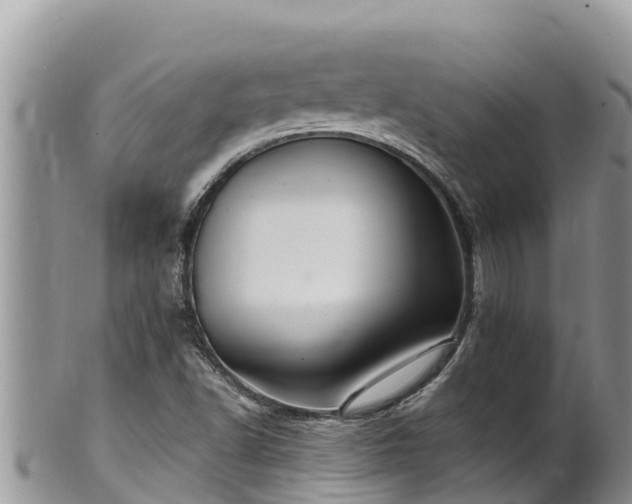 X0000102311502200808011550