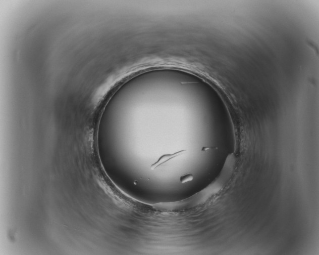 X0000102311503200808011550