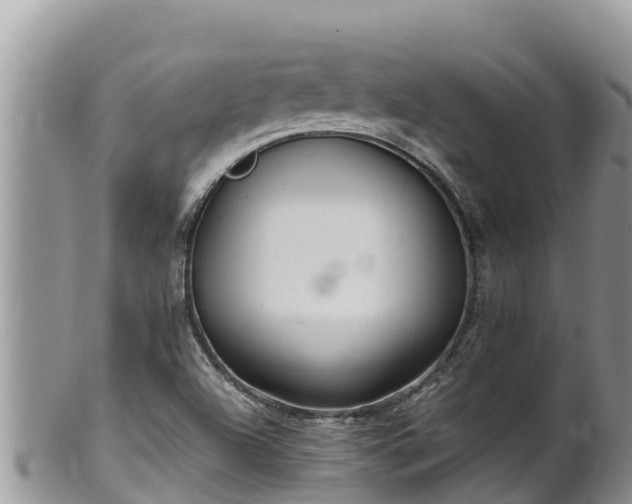 X0000102311504200808011550