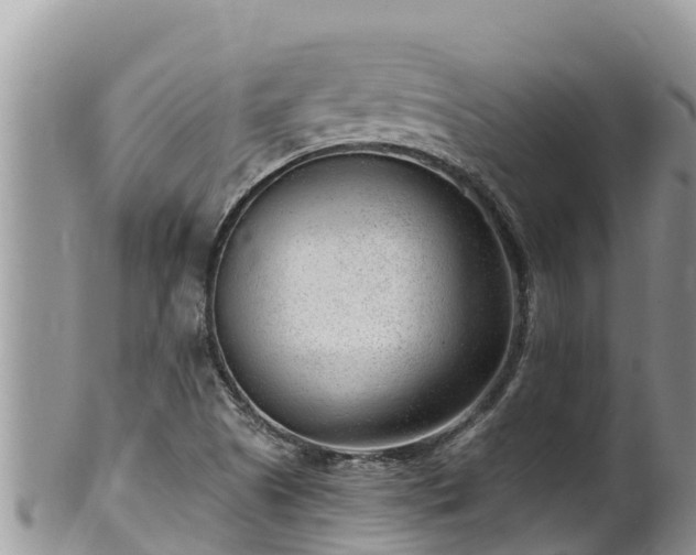 X0000102311505200808011550