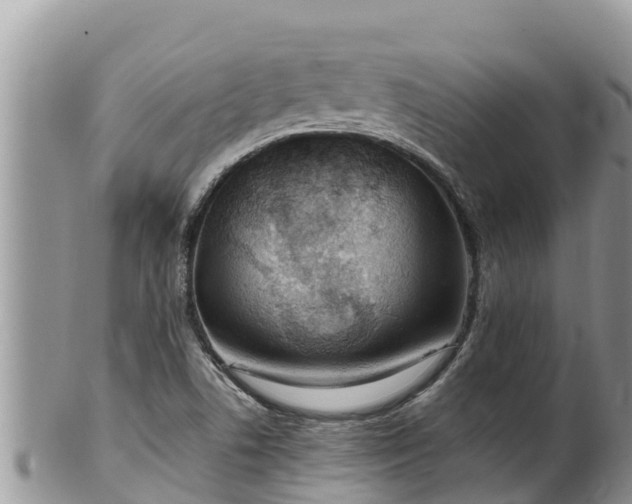 X0000102311506200808011551