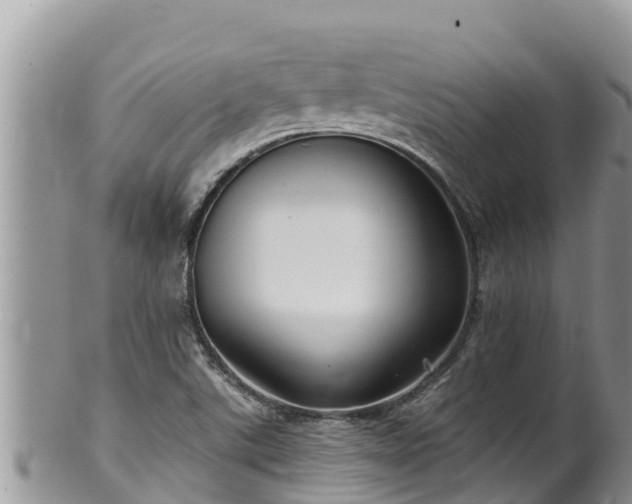 X0000102311507200808011551