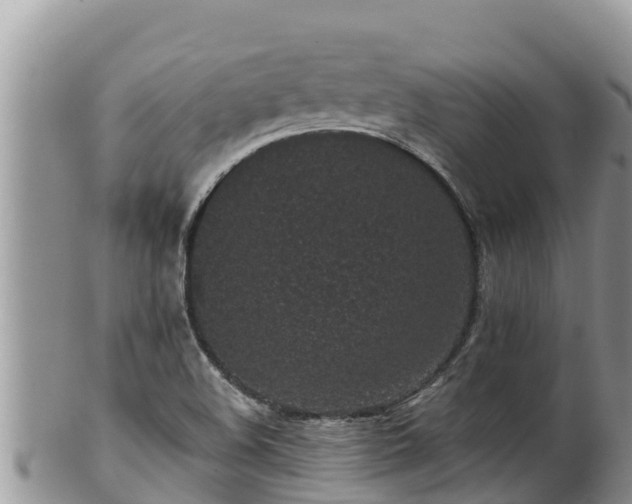 X0000102311508200808011551