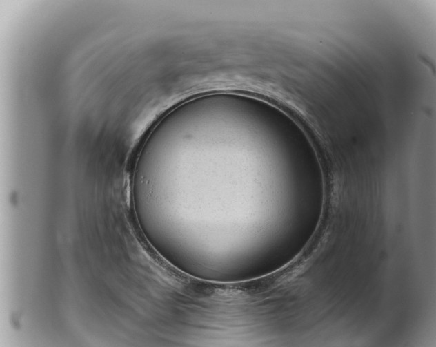 X0000102311509200808011551