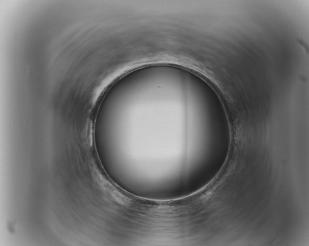 X0000102311510200808011551