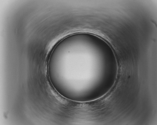 X0000102311511200808011551