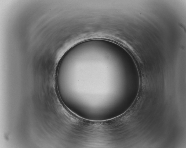 X0000102311512200808011551