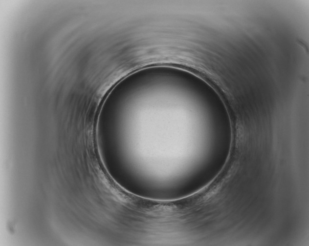 X0000102311513200808011551