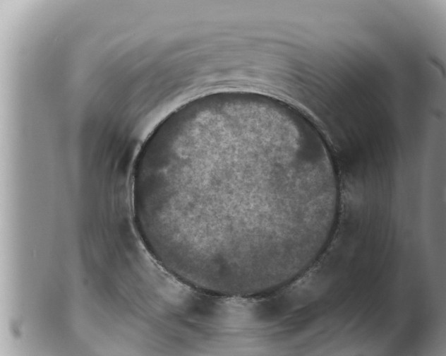 X0000102311514200808011551