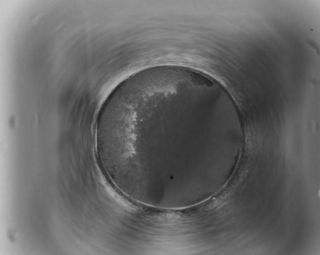 X0000102311515200808011551