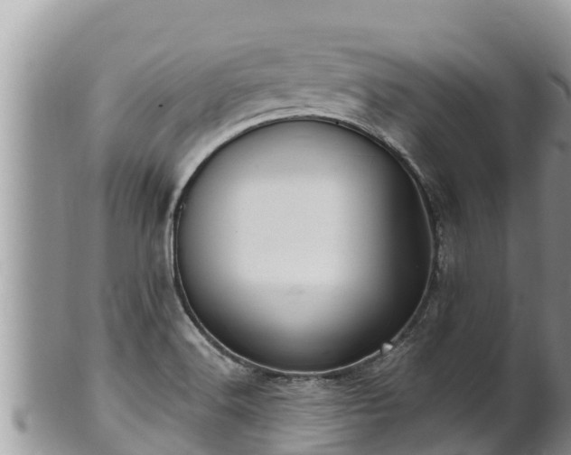 X0000102311516200808011551