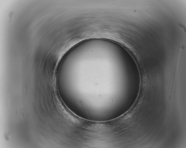 X0000102311517200808011551