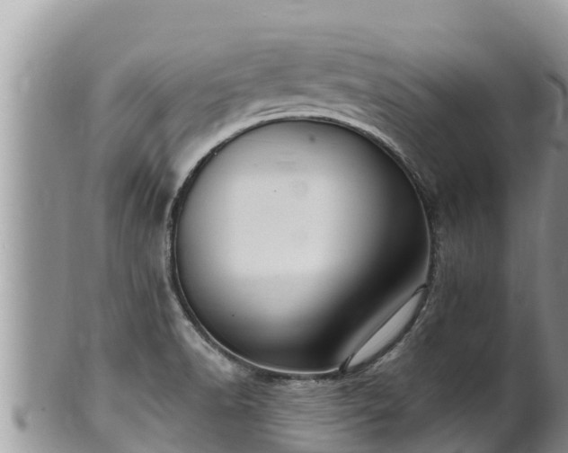 X0000102311518200808011551