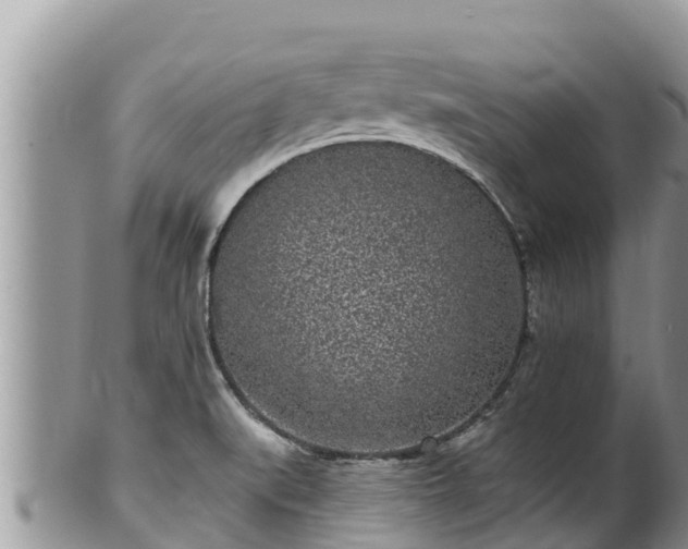 X0000102311519200808011551