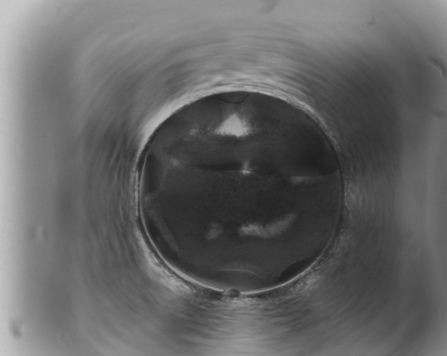 X0000102311522200808011551