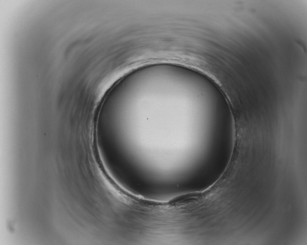 X0000102311523200808011551