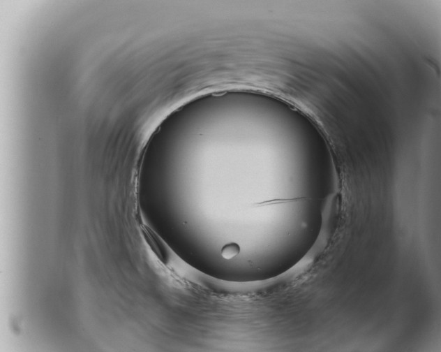 X0000102311524200808011551