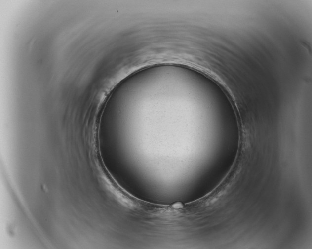 X0000102311525200808011551