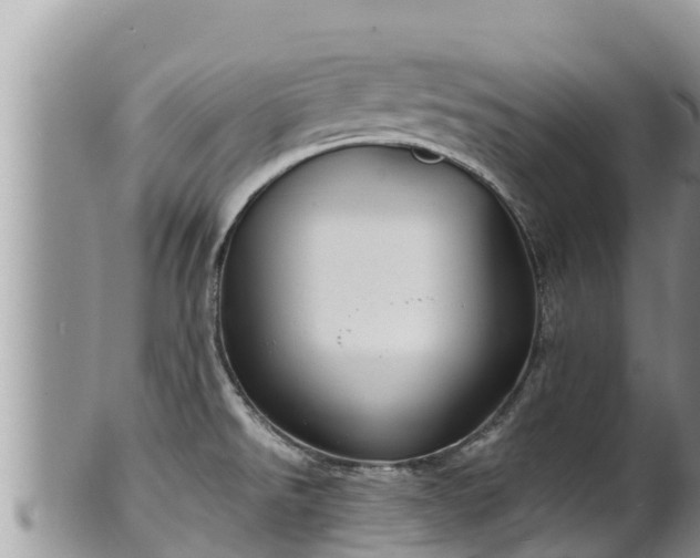 X0000102311526200808011551