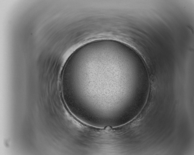 X0000102311527200808011551