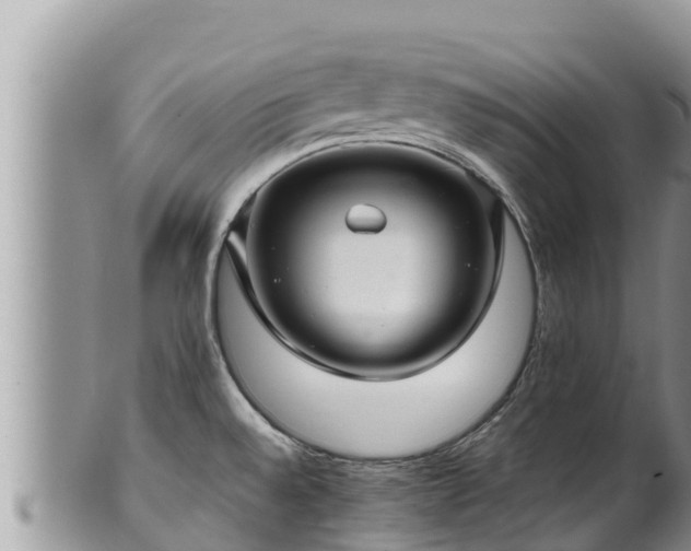 X0000102311528200808011551