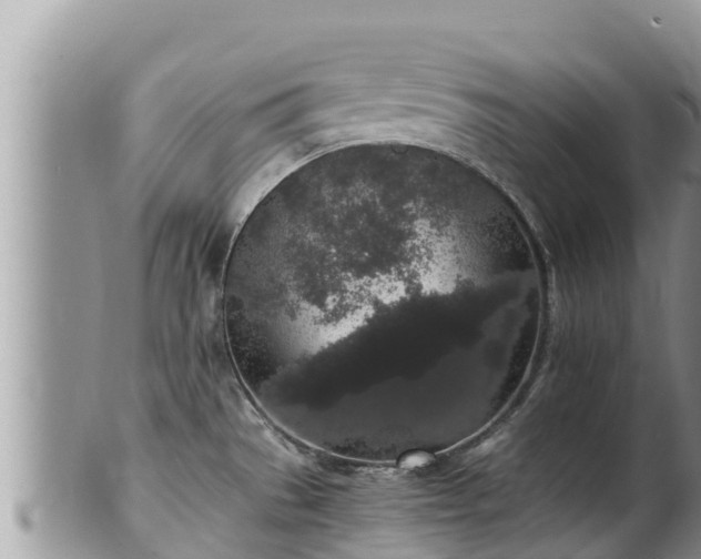 X0000102311529200808011551