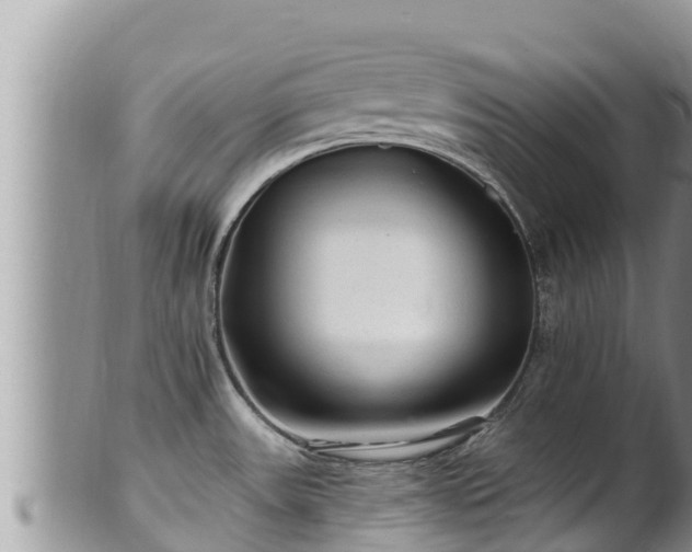 X0000102311531200808011551