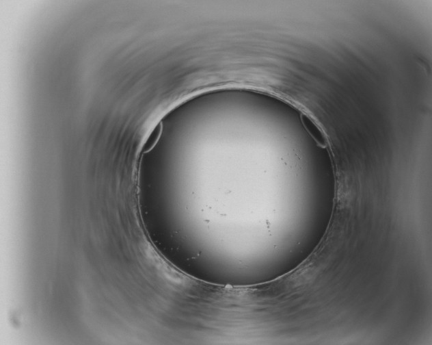 X0000102311532200808011551