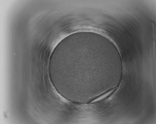 X0000102311533200808011551