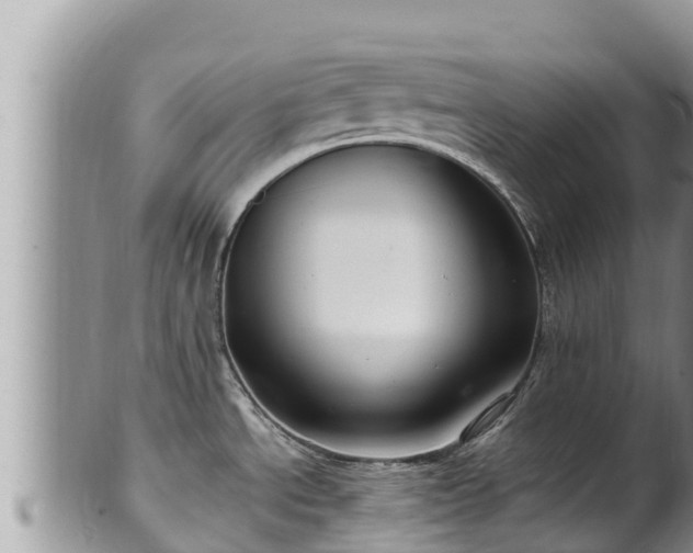 X0000102311534200808011551