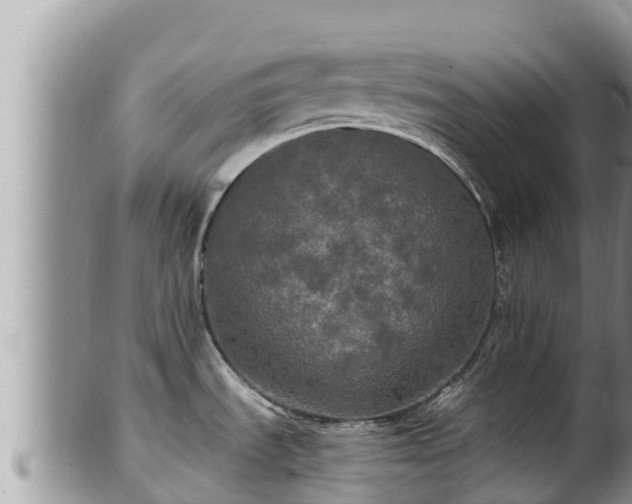 X0000102311535200808011551