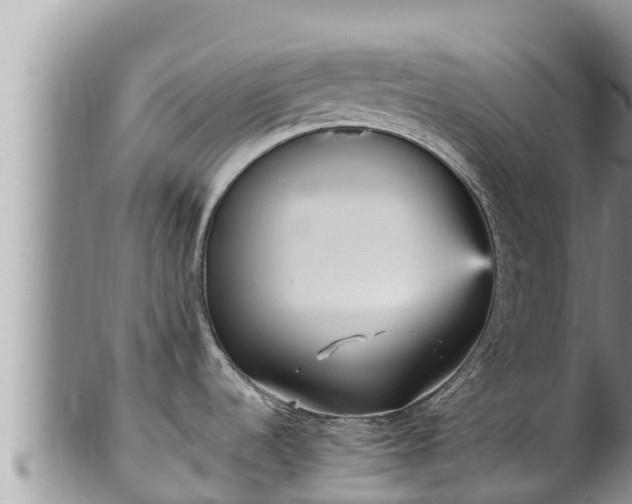 X0000102311536200808011551