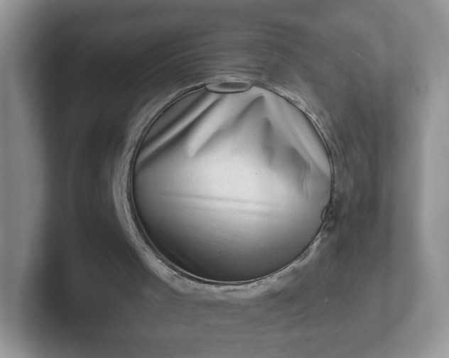 X0000102310001200808081617