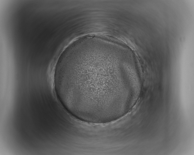 X0000102310002200808081617