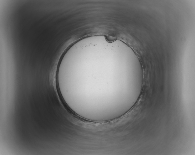 X0000102310003200808081617