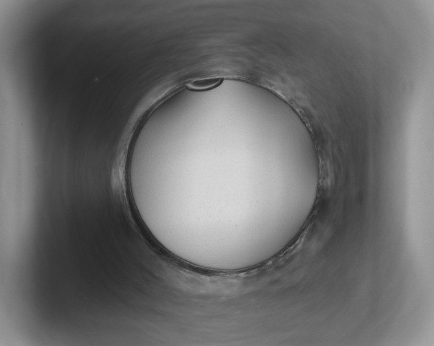 X0000102310004200808081617