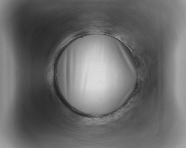 X0000102310005200808081617