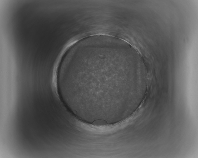X0000102310006200808081617