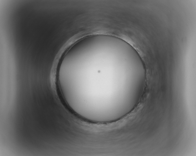X0000102310007200808081617