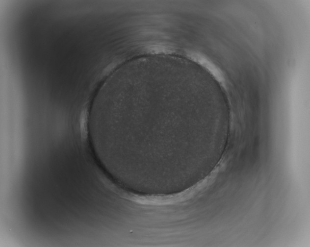 X0000102310009200808081617