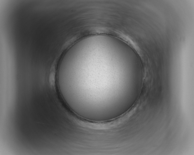 X0000102310010200808081617