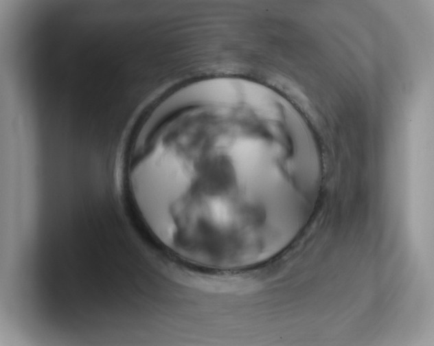 X0000102310012200808081617