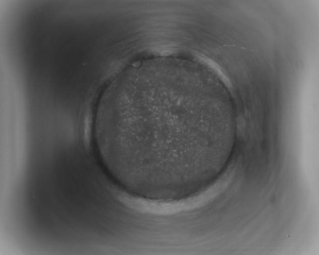 X0000102310018200808081617